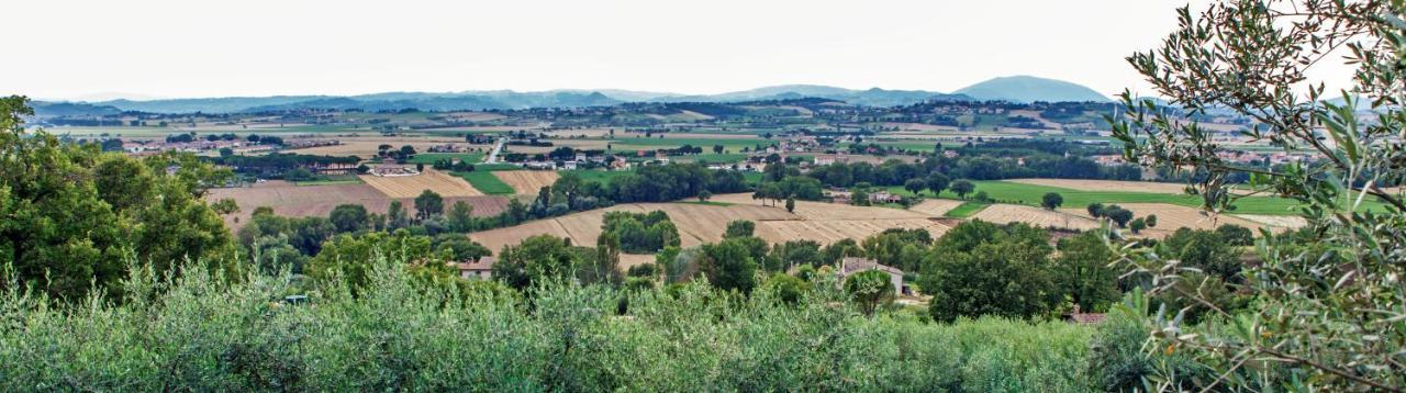 Agriturismo La Palazzetta di Assisi Villa Esterno foto